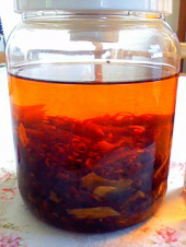 まだまだまだまだノータイトル (くどい?) 画像3