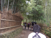 日帰り京都旅行 画像2