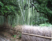 怠惰な尻 画像2