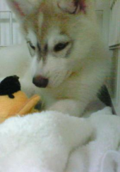 またまた家族が増えました。 画像2