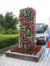 密かに・・・・。 画像2