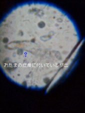 茶の湯とは只湯をわかし茶をたてて飲むばかりなる事と知るべし 画像3