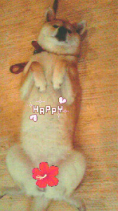 ☆あ～ぁ…やられた！ 画像2