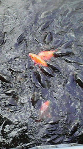 ☆おらぁ・・・(￣~￣；) ウーン 画像3