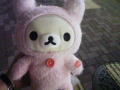 いろいろ