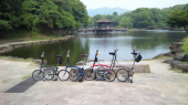 矢田寺・あじさい 画像3