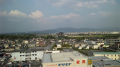 桃谷櫻 画像1