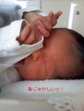 だぁあああ 画像1