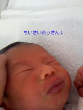 ばぶぅばぶぅ 画像3