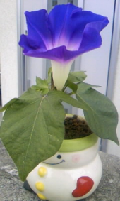 結婚祝い♡ 画像1