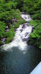 バイク楽しす♪ 画像2