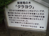 やっと２万歩 画像1