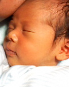 ねぇーぶぅそくだぁあああっ！！ 画像2