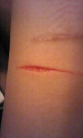 “だからお前も切るのか？” 画像1