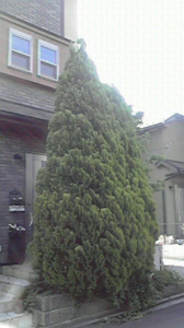 ☆勘弁してよぉ・・ヽ(　￣д￣;)ノ 画像1