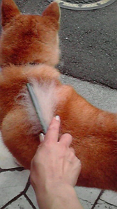 ☆勘弁してよぉ・・ヽ(　￣д￣;)ノ 画像2