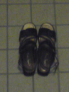 昨日は普通に…