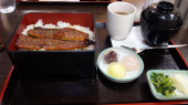 甲子園 画像3