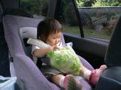 もずくがいっぱい 画像1