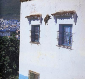 ジャーンプ③ 画像1