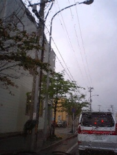 大雨・・・ 画像2