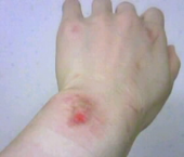 すって~ん! 画像1