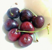 禁煙六日目／おにぎりで乗り切る多忙な日 画像2