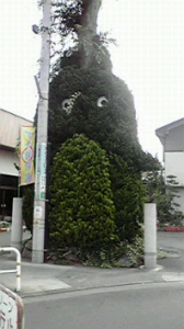 ☆晴れたらいいね♪ 画像1