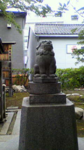 回る高麗犬 画像2