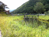 20090726 画像2
