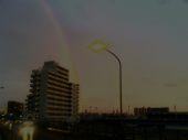 小雨の中の虹 画像1