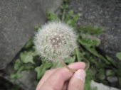 no title 画像1