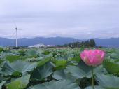 琵琶湖一周 画像3