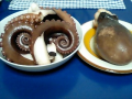 タコだらけ