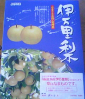 第二段到着！ 画像1