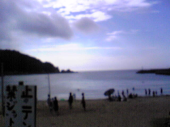今日も暑い。 画像1