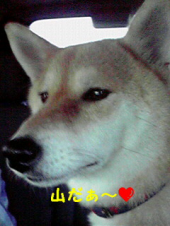 ☆一路・・長野へ＝33333 画像1