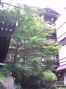 最後の旅（渋温泉～白根火山～草津温泉～大宮）