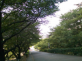 136日目（夏が来た！）