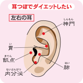 何事も継続しなけりゃねぇ。。。 画像1