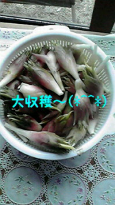 ☆信州2日目～♪ 画像2