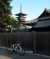 薬師寺 画像1