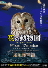 誰のなつやすみ？ 画像2