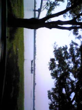 朝の充電 画像1