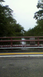 夏の風景 画像1