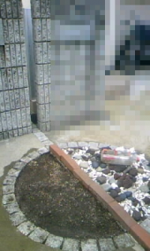 枯らす女 画像2