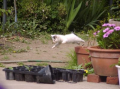 ジャンプ⑧下半身太り