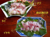 加太の鯛釣り 画像3