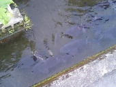 どこ？ 画像2
