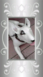 ☆肥えてますが、何か？ 画像1